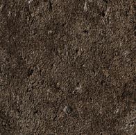 Lebenszyklusbewertung (LCA) von Biochar für Bodenanwendungen