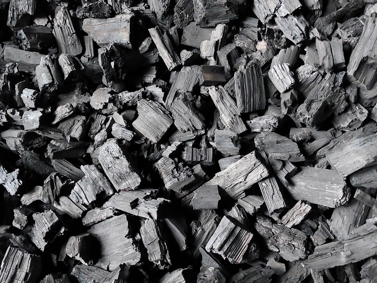 Permanenz von Biochar: die Rolle von Inertinit bei zukünftigen Biochar-Zertifizierungen