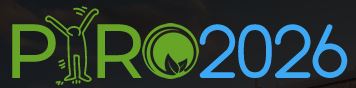 PYRO 2026 – Aufruf zu&nbsp;Einreichungen