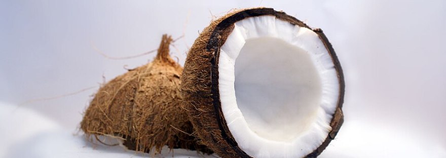 https://commons.wikimedia.org/wiki/File:Kokosnuss-Coconut.jpg