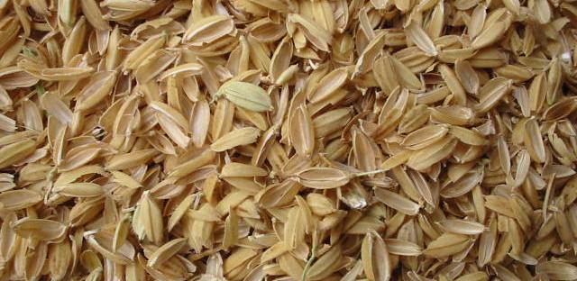 https://commons.wikimedia.org/wiki/File:Rice_chaffs.jpg