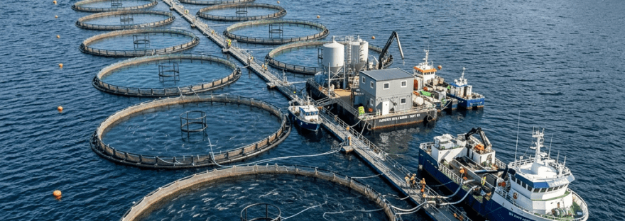 Salmon fish farm with multiple circular net pens and boats in a coastal fjord.