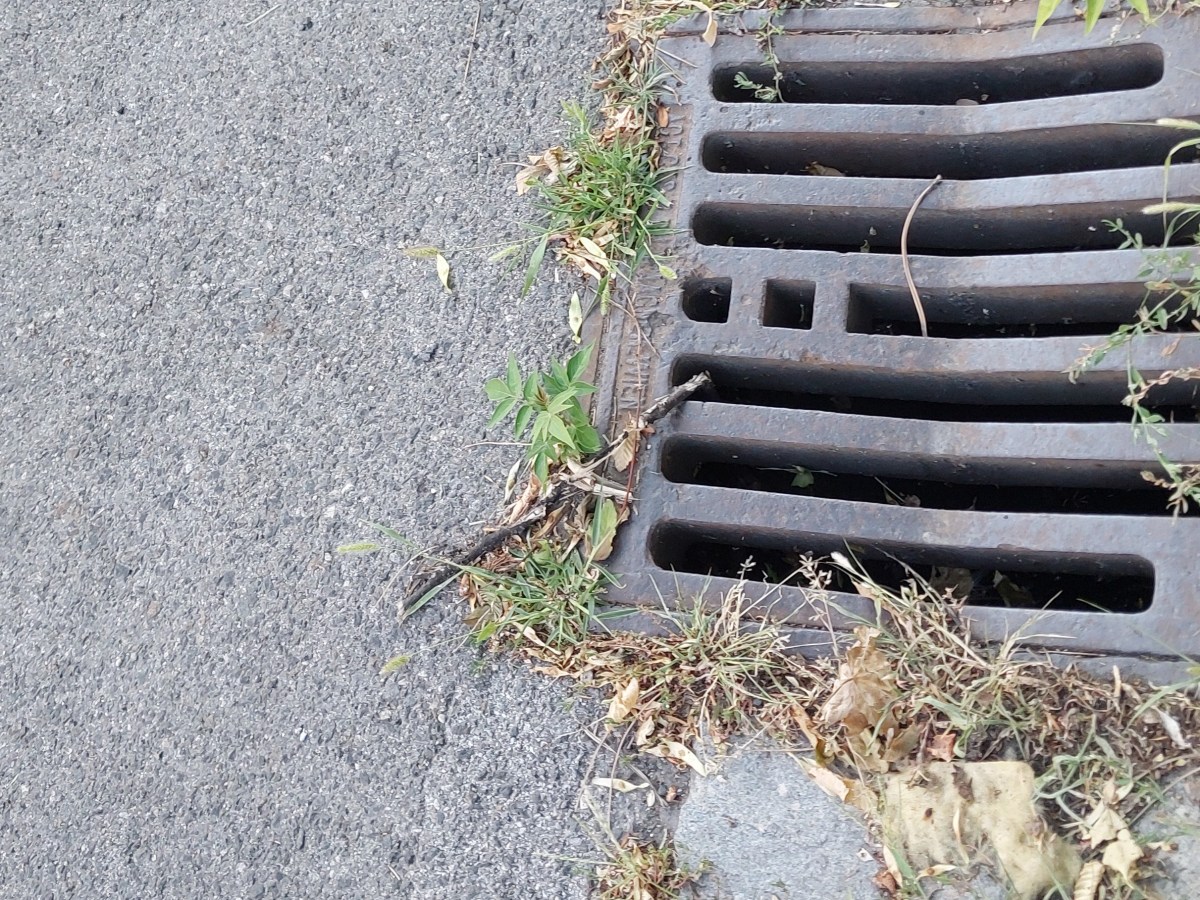 Biochar im Regenwassermanagement: Leitfaden und Best Management&nbsp;Practices