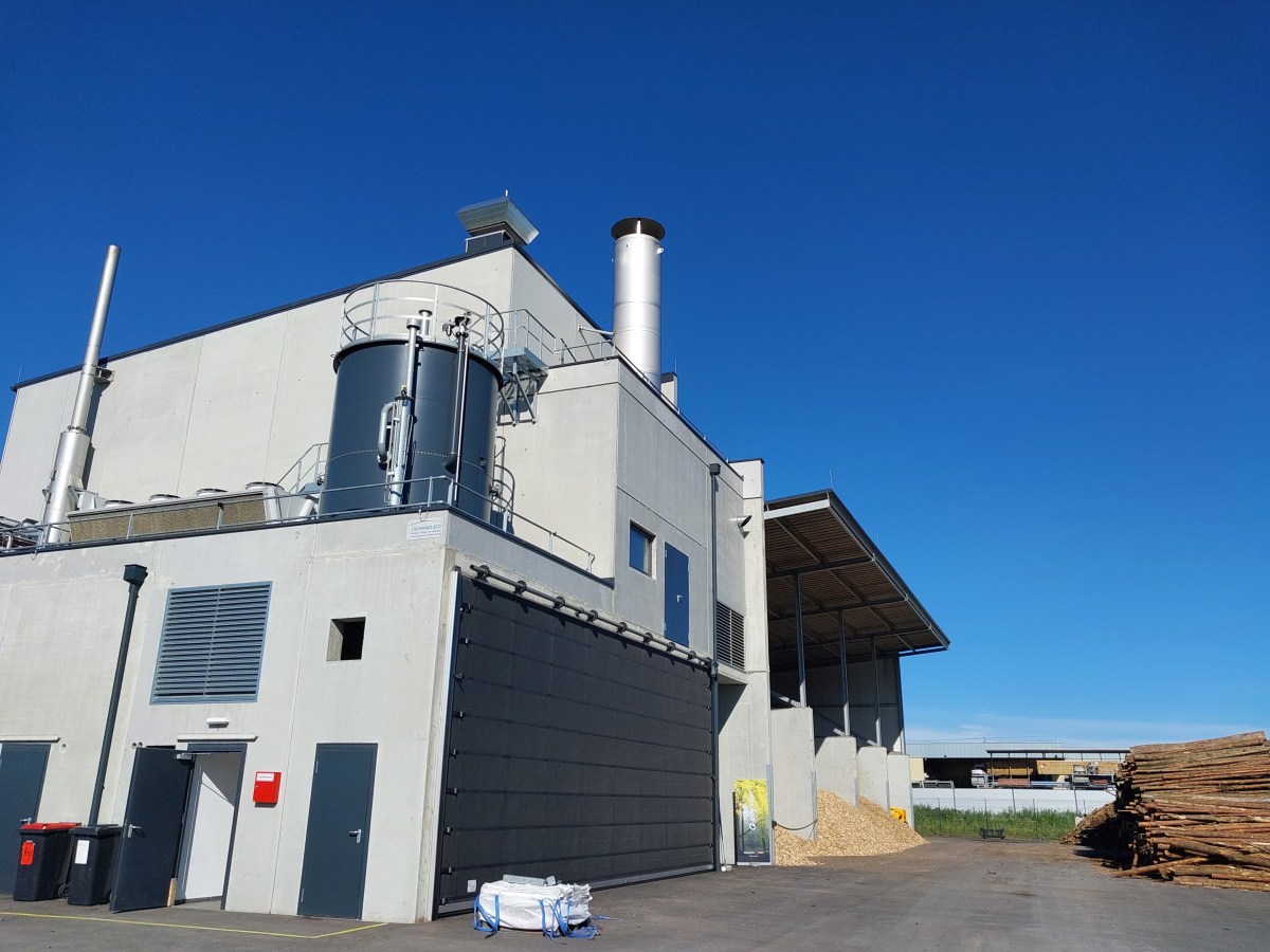 Geschäftsmodelle von Biochar-Erzeugung zur CO2-Entfernung mit Energie-Koproduktion