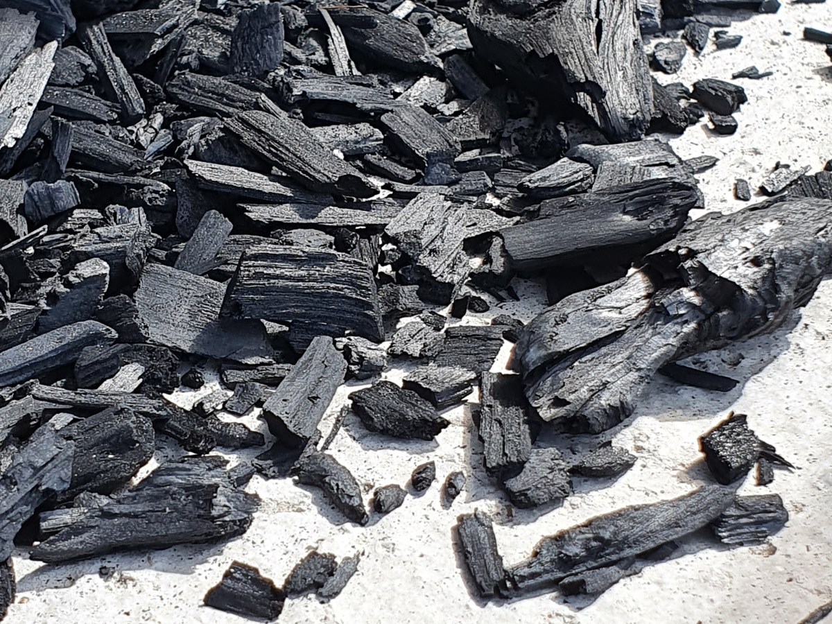 9. Österreichischer Biochar-Day – Jetzt&nbsp;anmelden!